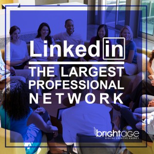 LinkedIn The Largest Professional Network