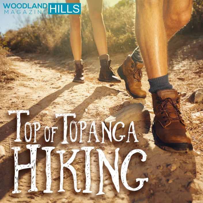 Hikers Walking On The Country Path
