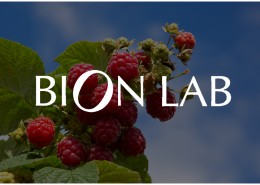 responsive website design for bion labs