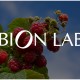 responsive website design for bion labs