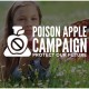 responsive website design for poison apple