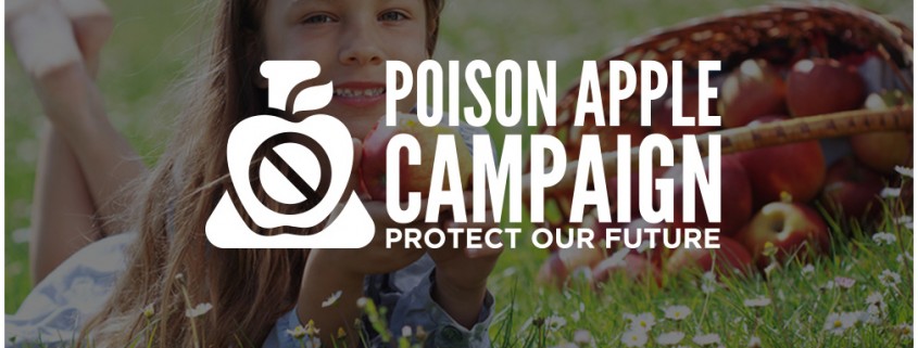 responsive website design for poison apple