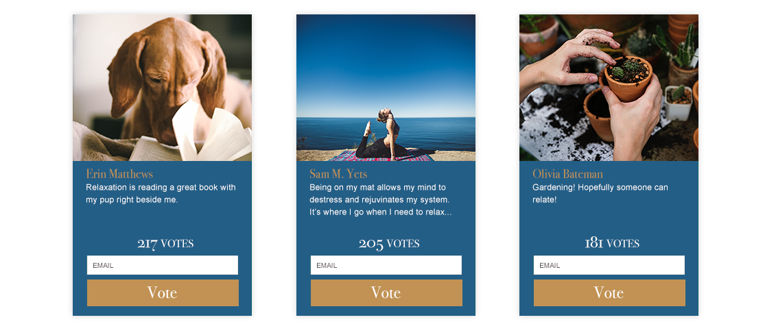 mock up of voting example for hotel photo contest